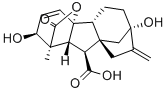 ساختار اسید گیببرلیک